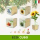 Eco-cubi Green idea regalo ecologica di natale da piantare