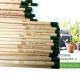 Eco-matita piantabile originale sprout per gadget ecologico aziendale.jpg