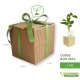 iGreen-cube piante e fiori in cubi in box regalo maestre