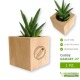Aloe vera pianta succulenta grassa in vaso da personalizzare per idea regalo bomboniera