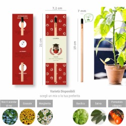 bomboniera matita piantabile e segnalibro per laurea con gufo