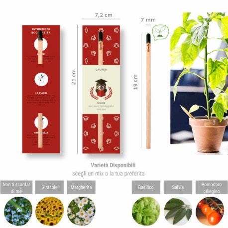 bomboniera matita piantabile e segnalibro per laurea con gufo