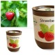 fragole ecocan piante aromatiche per casa