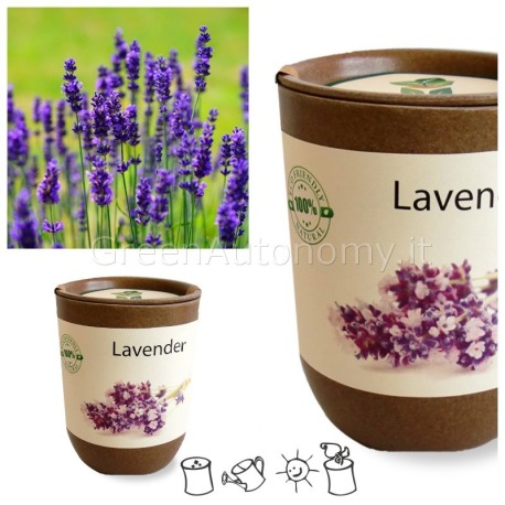 ecocan piante aromatiche lavanda