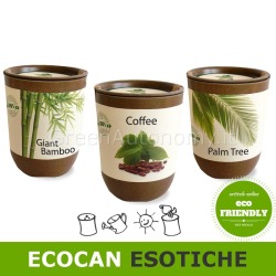 Ecocan piante esotiche in vaso biodegradabile