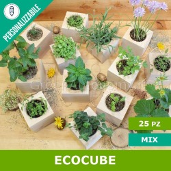 Kit per ecobomboniere fai da te originali