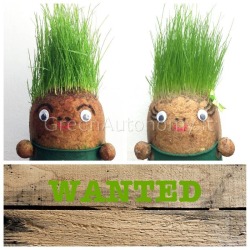 Mister Patata idea regalo originale, ecologica, green