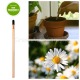 Eco-matita sprout margherita da piantare