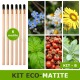 Matita sprout da piantare e far germogliare kit B 6 pezzi