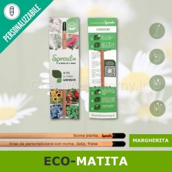 Sprout margherita matita che si pianta da personalizzare