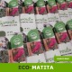 Eco-matita piantabile Sprout garofano personalizzata per nascita