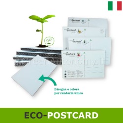 Eco-postcard piante e fiori veri in cartolina-regalo da colorare