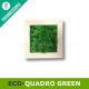 Eco-quadro green con lichene verde stabilizzato e cornice personalizzabile